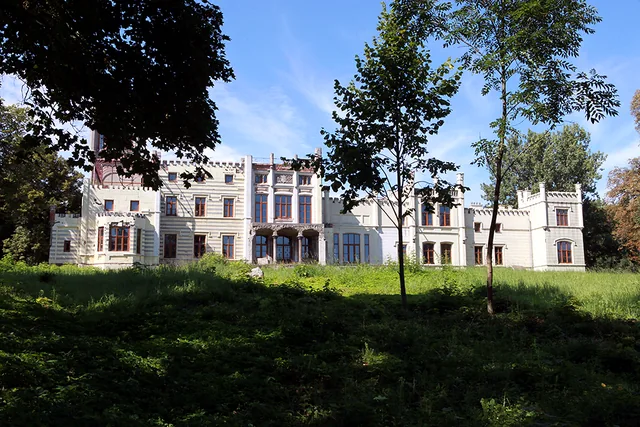 Widok pałacu lub jego bezpośredniego otoczenia w Jankowie